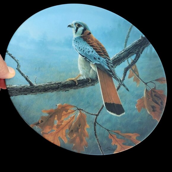 Hawk Plate Collectible 1989 Knowles American Kestrel By Daniel Smith 84-K41-74.6 - Picture 6 of 7